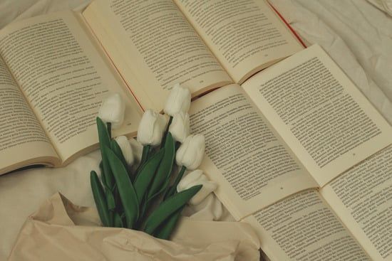 Ineficàcia i rescissió per lesió de la partició hereditària
